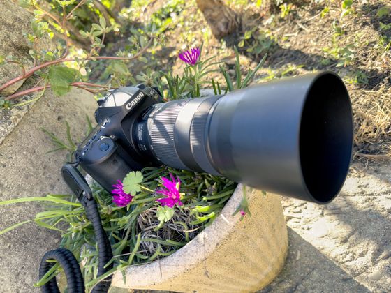 Canon 90D